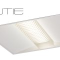 evolutie-capa