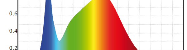 4000