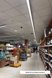 modelo-Linea-Simples-Assimétrica