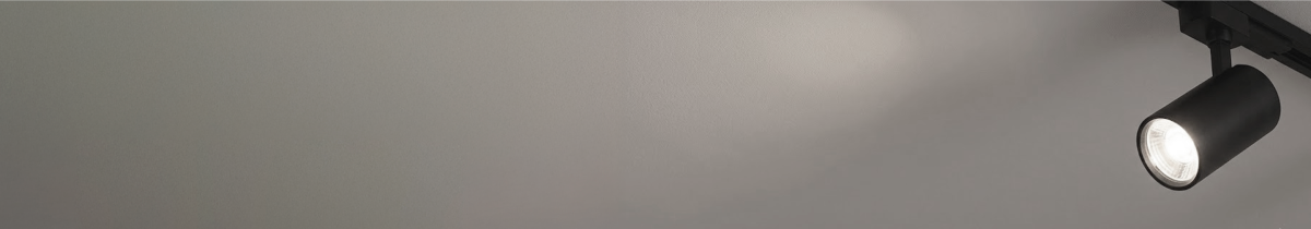 Newsletter Banner
