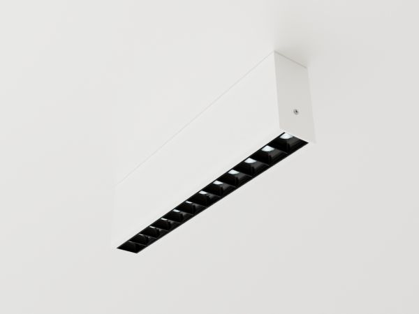 Everglow 12 LEDs