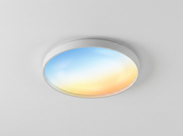 Skylight